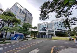 坪山区树木红火蚁公司