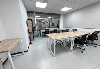 福建办公室绿墙植物品种