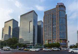 乐山乌鸡土鸡批发